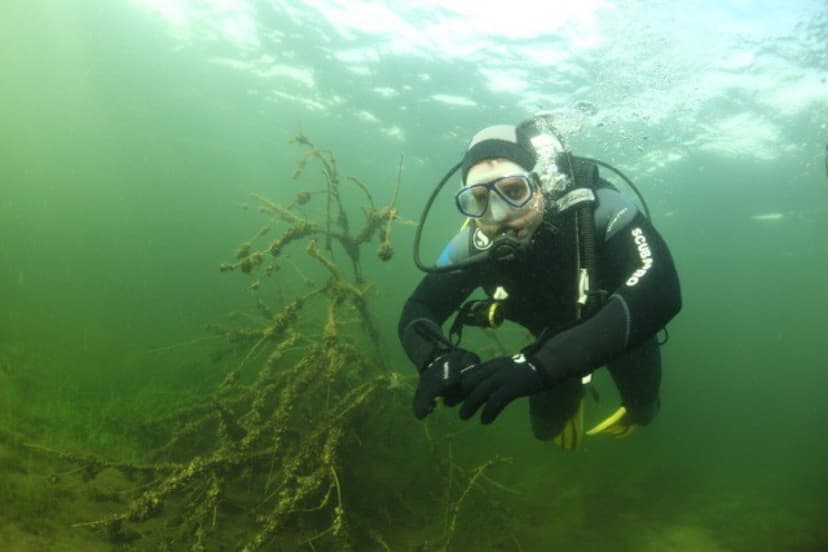 Pažintinis nėrimas ežere