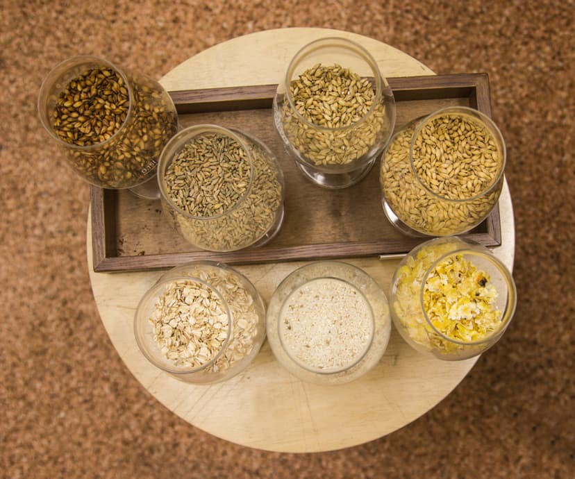 Alaus pažinimo vakaras