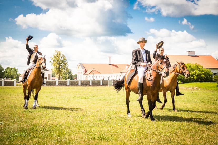 Dvariška naktis ir jodinėjimas žirgais DVIEM