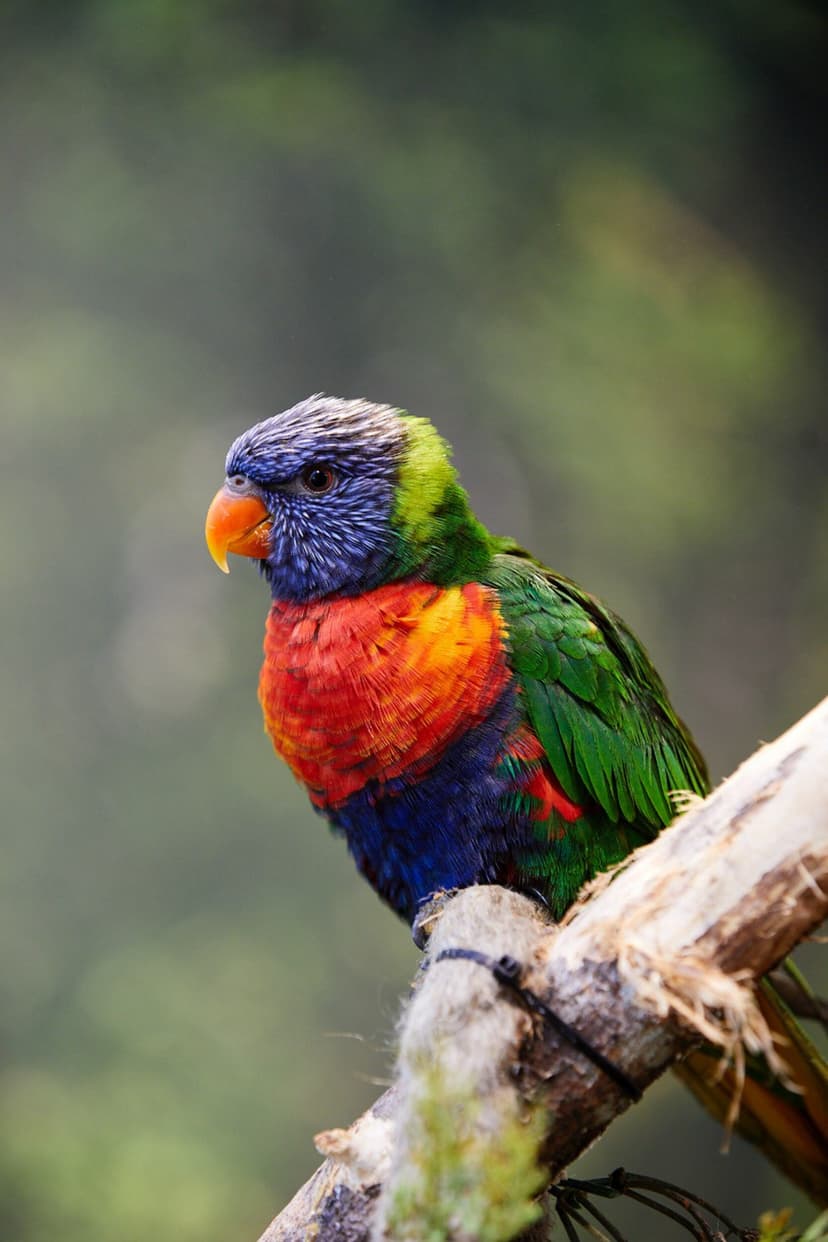 Apsilankymas zoologijos sode „Zoopark“ Vilniuje DVIEM darbo dienomis