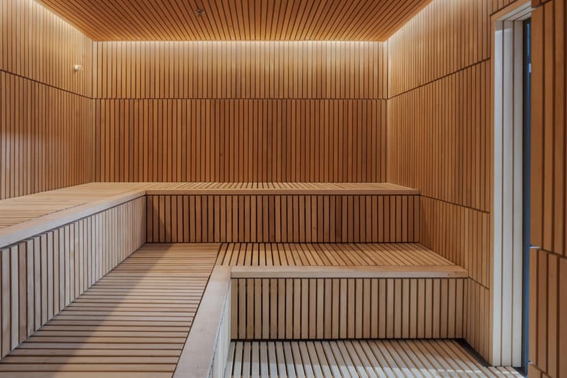 Apsilankymas „The V Spa & Wellness“ centro vandens ir pirčių erdvėje DVIEM