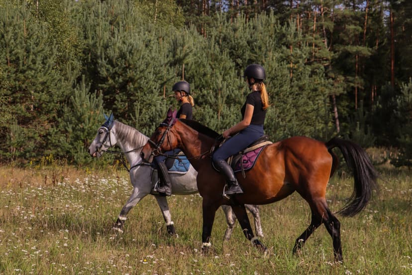 Pažintis su žirgais jojimo klube „Pagauk vėją”