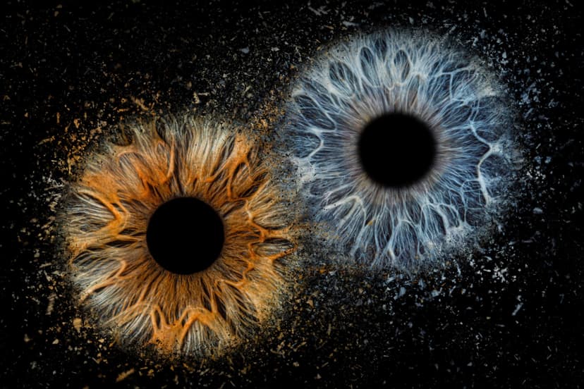 2 akių rainelių nuotrauka fotodrobėje