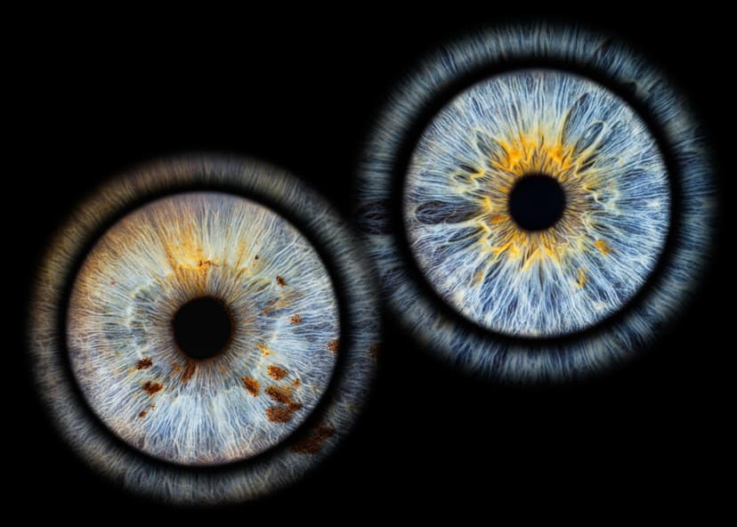 Eye2Eye skaitmeninė dviejų akies rainelių nuotrauka