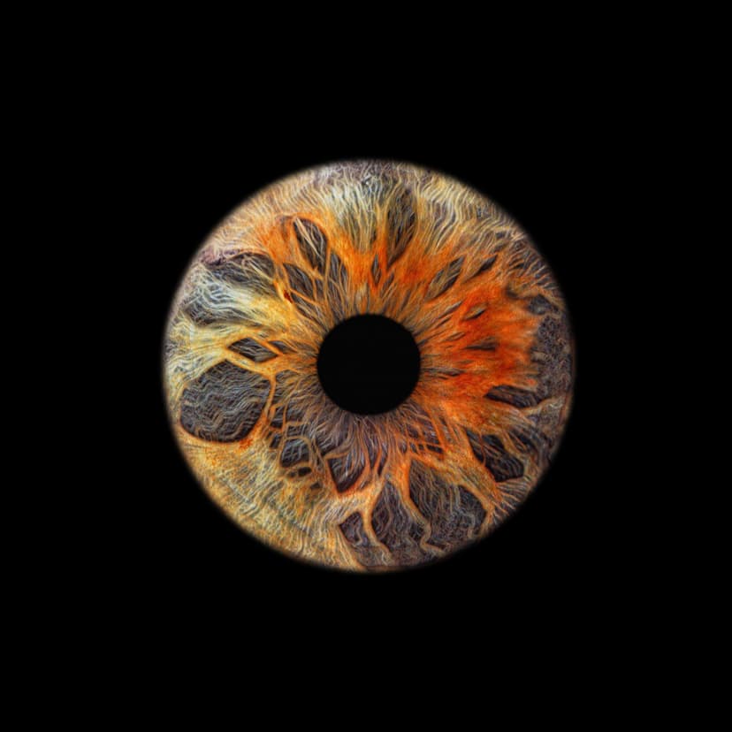 „Eye2Eye“ dovanų čekis