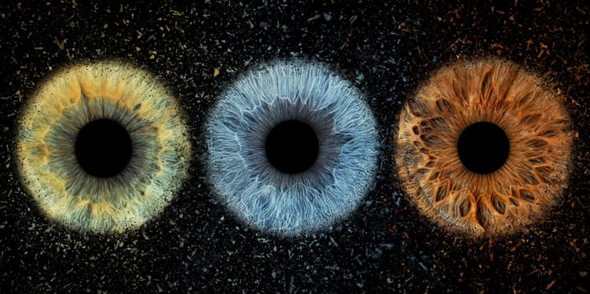 3 akių rainelių nuotrauka fotodrobėje