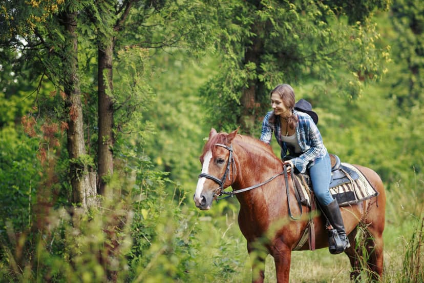 Jodinėjimas žirgais „Night rider“