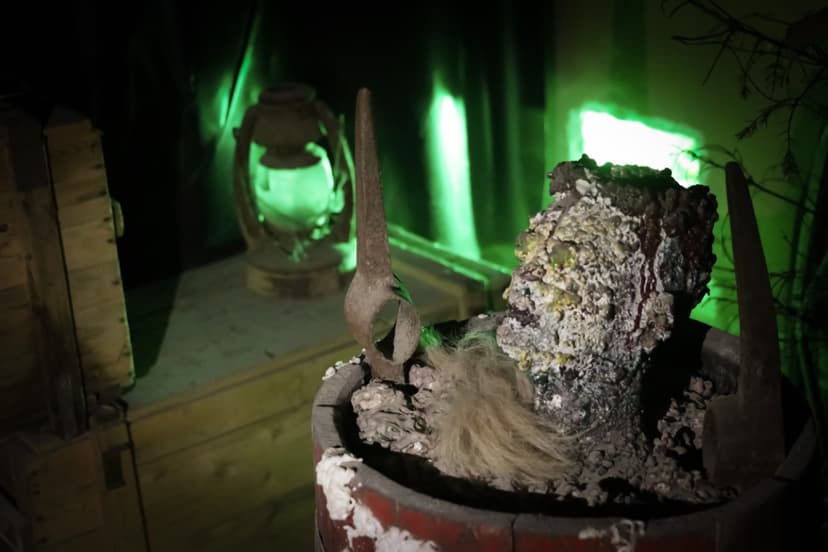 Ekstremalus nuotykis kariniame bunkeryje (2-5 asm.)