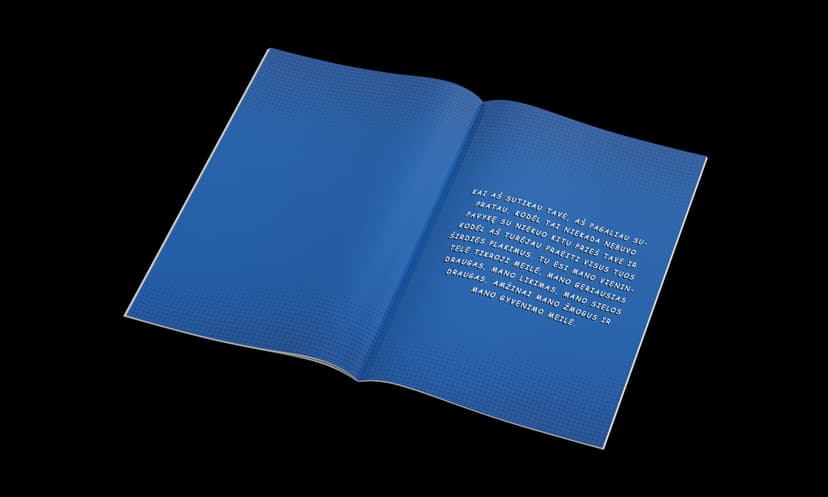 Personalizuota komiksų knygelė 32 psl.