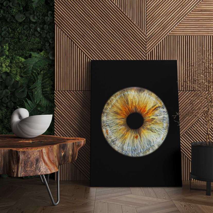 Skaitmeninė akies rainelės nuotrauka - Eye2Eye TRIMS