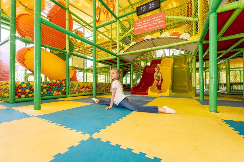 Abonementas „Palangos vasaros parke“: labirintas