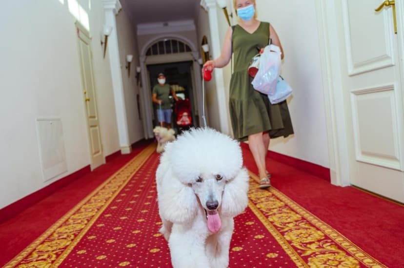 2 naktys geresniajame dviviečiame kambaryje su druskų terapija 4 asm. ŠEIMAI