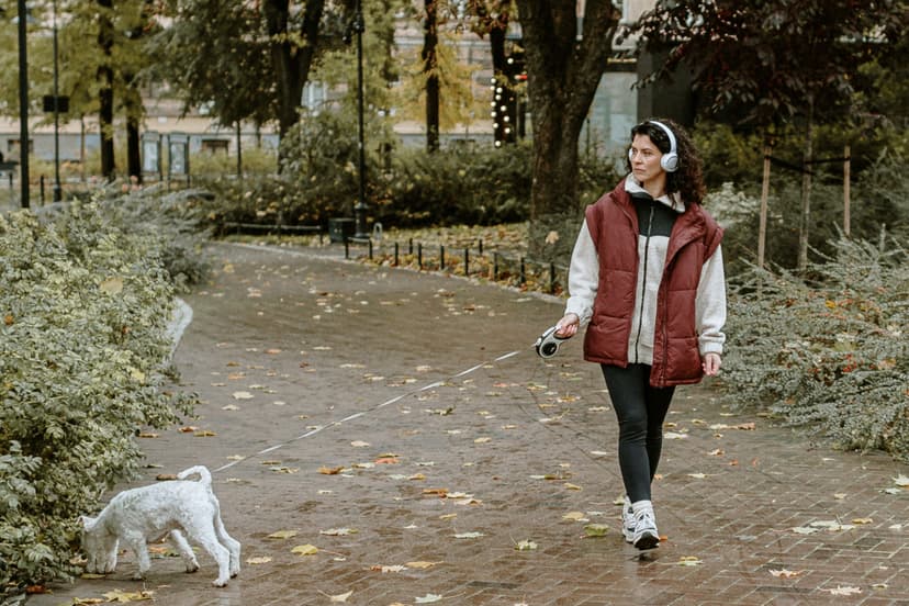 „Audioteka CLUB“ prenumerata (12 mėn.)